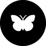 6959801